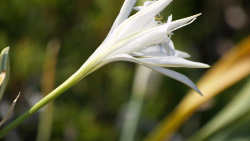 Εθνικό Θαλάσσιο Πάρκο Αλοννήσου Βορείων Σποράδων